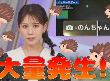 【戸北美月】(🍥´ω｀🍥)っ「🦔大量発生 (ツベコメ有り)」