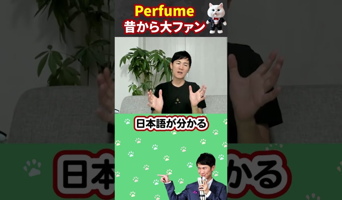 【Perfume】の大ファンの石丸伸二。とにかくライブが凄い！ #石丸伸二 #広島 #コンサート