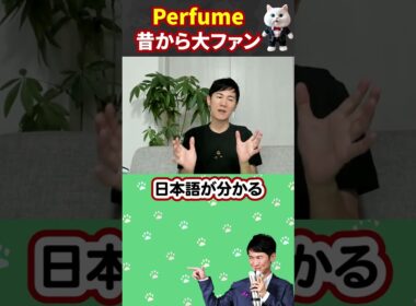 【Perfume】の大ファンの石丸伸二。とにかくライブが凄い！ #石丸伸二 #広島 #コンサート