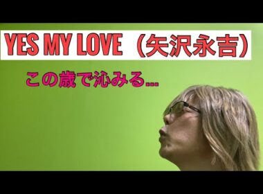 【孤独の56歳】矢沢永吉「YES MY LOVE」歌ってみた