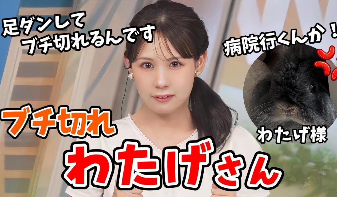 【戸北美月】愛兎「わたげ様」にブチ切れられるみーちゃん【ウェザーニュース切り抜き】