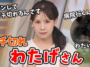 【戸北美月】愛兎「わたげ様」にブチ切れられるみーちゃん【ウェザーニュース切り抜き】