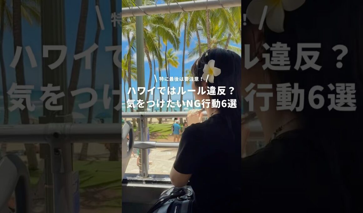 ハワイに行く人は要注意⚠️ #newt #海外旅行 #ハワイ #ハワイ最新情報