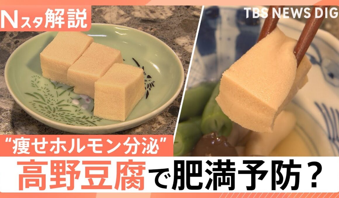 高野豆腐に肥満予防の可能性　新研究で“痩せホルモン”分泌も　ガパオやかりんとうなど煮物以外の活用術【Nスタ解説】｜TBS NEWS DIG
