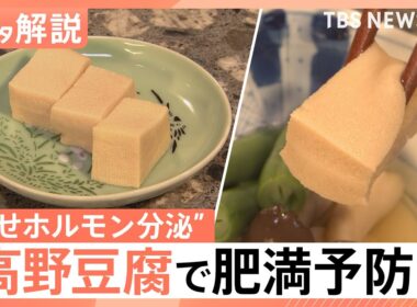 高野豆腐に肥満予防の可能性　新研究で“痩せホルモン”分泌も　ガパオやかりんとうなど煮物以外の活用術【Nスタ解説】｜TBS NEWS DIG