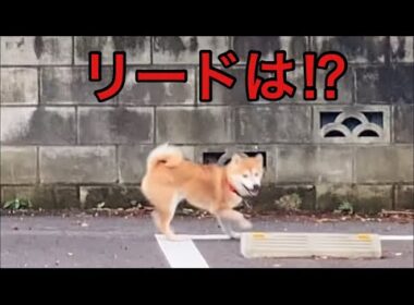 【孤独の56歳】マジ！やばい！