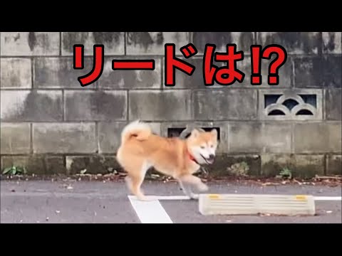 【孤独の56歳】マジ！やばい！