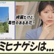 【駒木結衣】 ナガミヒナゲシは綺麗だけど、毒性のあるお花！気をつけましょう。触っちゃダメ！