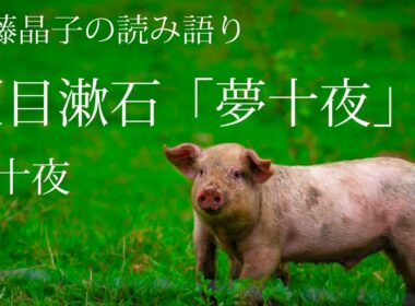 進藤晶子の読み語り 　夏目漱石「夢十夜」より第十夜