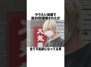 やりたい放題で過去6回逮捕されたが全て不起訴になってる男 #一分でわかる #雑学 #豆知識