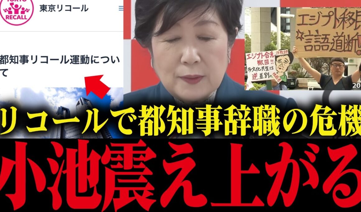 ※小池百合子、署名〇〇筆集まれば辞職確定…リコールが現実的になり小池大焦り   【小池都知事 さとうさおり カイロ大学】