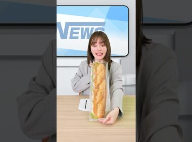 【デカ盛り容器】規格外の「メガパン」の迫力がエグいｗ＃林みなほ＃容器＃冷凍弁当容器＃介護給食＃エフピコTV