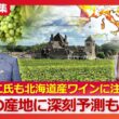 名将トルシエ氏もYOSHIKI氏も“北海道産ワイン”に大注目　なぜ道内各地にワイナリーが急増？『ワイン産地の約55％が失われる』ヨーロッパ伝統の産地には深刻な未来予測が…