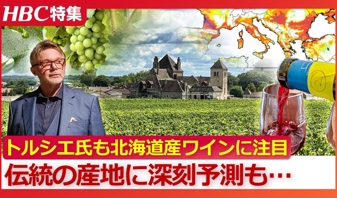 名将トルシエ氏もYOSHIKI氏も“北海道産ワイン”に大注目　なぜ道内各地にワイナリーが急増？『ワイン産地の約55％が失われる』ヨーロッパ伝統の産地には深刻な未来予測が…
