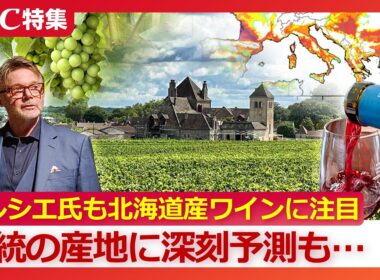 名将トルシエ氏もYOSHIKI氏も“北海道産ワイン”に大注目　なぜ道内各地にワイナリーが急増？『ワイン産地の約55％が失われる』ヨーロッパ伝統の産地には深刻な未来予測が…