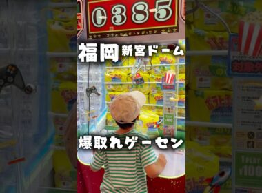 福岡🌟新宮ドーム🏟️【サープラ新宮あそびタウン】🎮🌈 #shorts #福岡おでかけ #ゲームセンター