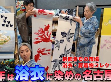 今年は浴衣に染めの名古屋帯‼️京都きもの市場👘浴衣・夏着物おすすめコレクションたっぷり見せちゃいます‼️