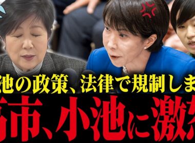 ※小池百合子、世界遺産小笠原に中国産メガソーラー強行…高市総理が国会で阻止宣言！【小池都知事 さとうさおり カイロ大学 学歴詐称疑惑】