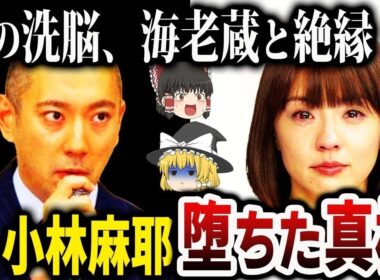 【ゆっくり解説】収録中に突然取り乱し騒然…小林麻耶が転落した衝撃の理由とは