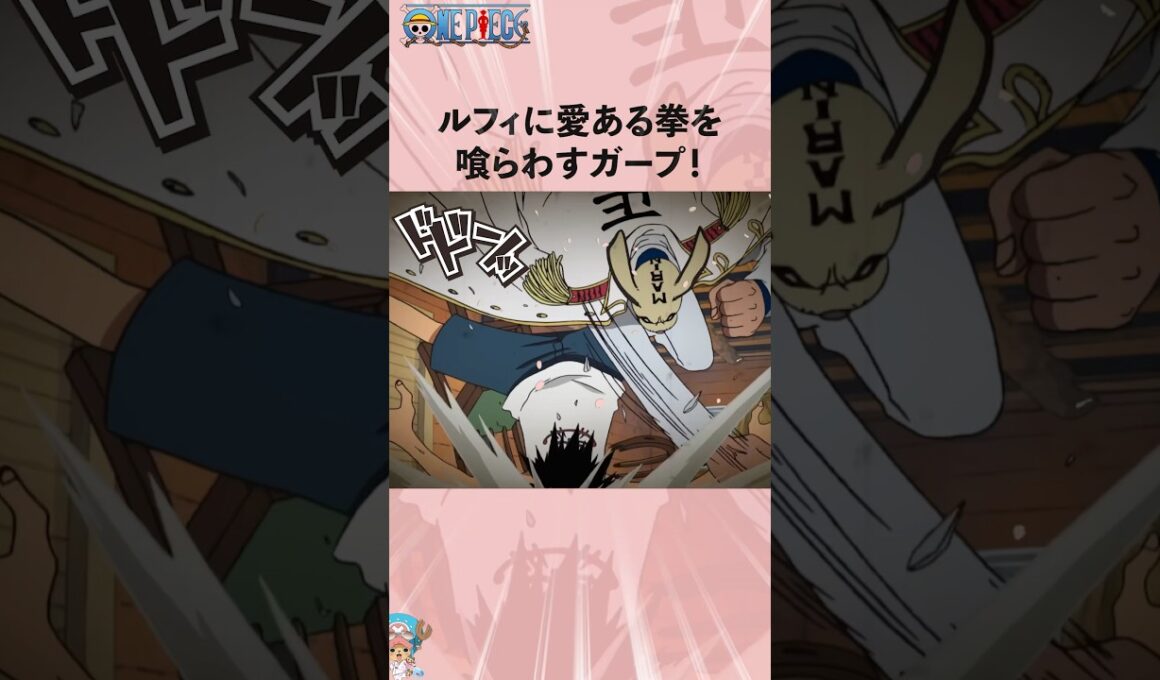 ルフィに愛ある拳を喰らわすガープ！#onepiece #ワンピース #アニメ #雑学