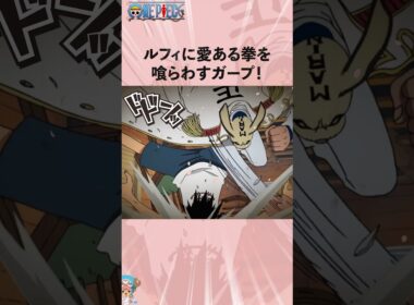 ルフィに愛ある拳を喰らわすガープ！#onepiece #ワンピース #アニメ #雑学