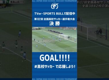 高校サッカー決勝 近江同点ゴール