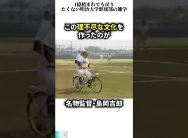 1億積まれても戻りたくない明治大学野球部の雑学  #日本  #スポーツ  #shorts