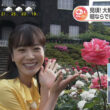 【画像】今日の佐藤茉那さん　5.14