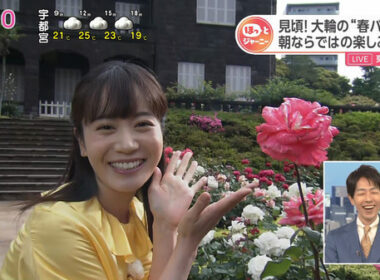 【画像】今日の佐藤茉那さん　5.14