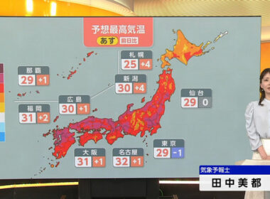 【画像】今日の田中美都さん 5.30