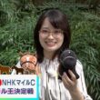 【画像】昨夜の御手洗菜々さんと篠原梨菜さん 5.9※篠原さんの競馬予想（NHKマイルカップ）の動画も