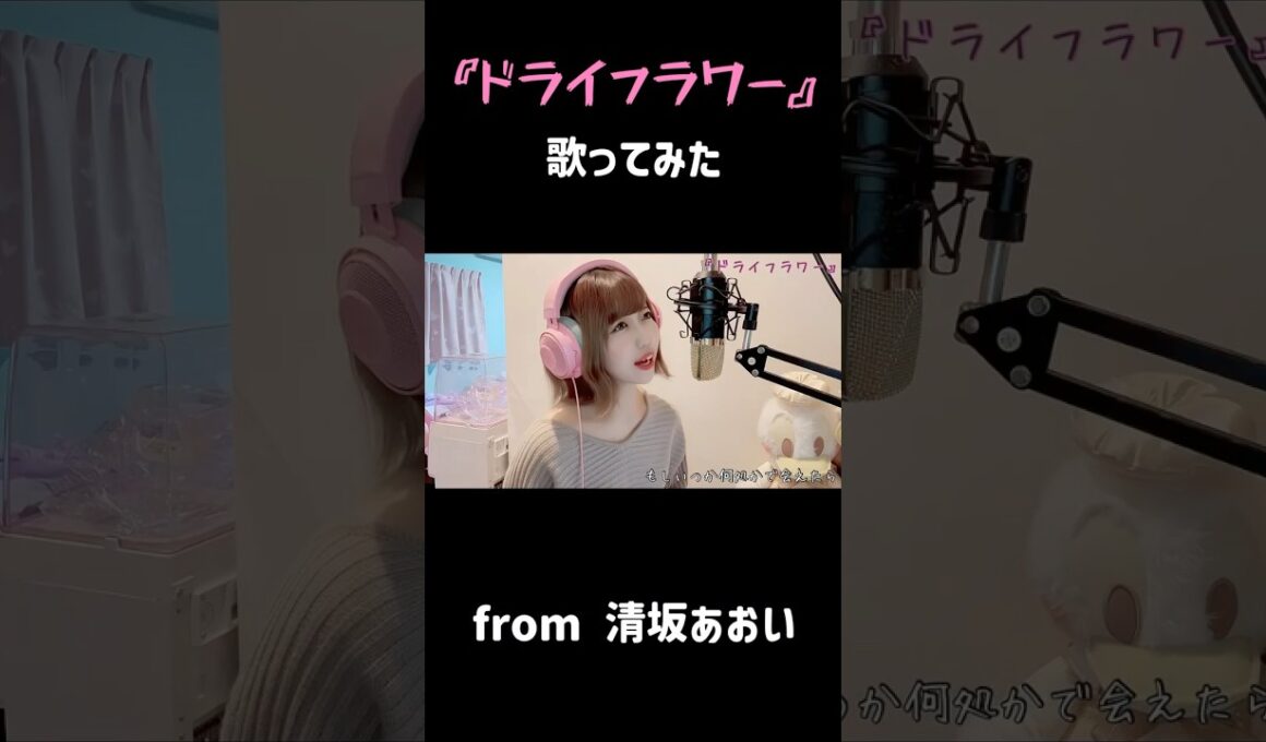 『ドライフラワー / 優里』 #歌ってみた #秋田 #清坂あおい #ドライフラワー #優里 昔歌ってみたを毎日あげていた時が懐かしいですね。