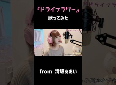 『ドライフラワー / 優里』 #歌ってみた #秋田 #清坂あおい #ドライフラワー #優里 昔歌ってみたを毎日あげていた時が懐かしいですね。