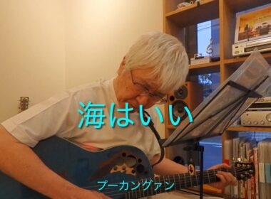 【オリジナル曲】海はいい｜平和を願う歌 プーカングァン（森山たけひろ）