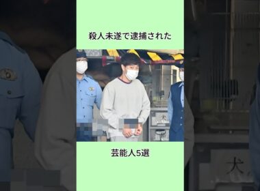 殺人未遂で逮捕された芸能人5選#芸能界 #芸能人 #shorts