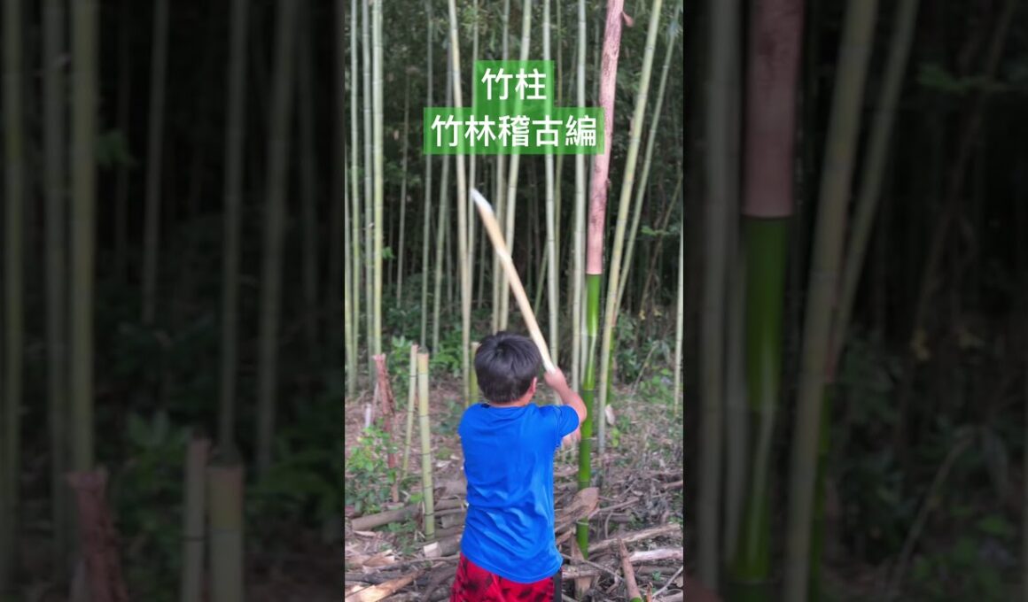 【楽しい剣道】いつもと違う稽古がしたい！#素振り#SafeTraining#剣道#kendokids#kids竹打ち込み稽古