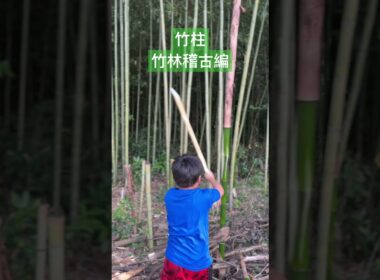 【楽しい剣道】いつもと違う稽古がしたい！#素振り#SafeTraining#剣道#kendokids#kids竹打ち込み稽古