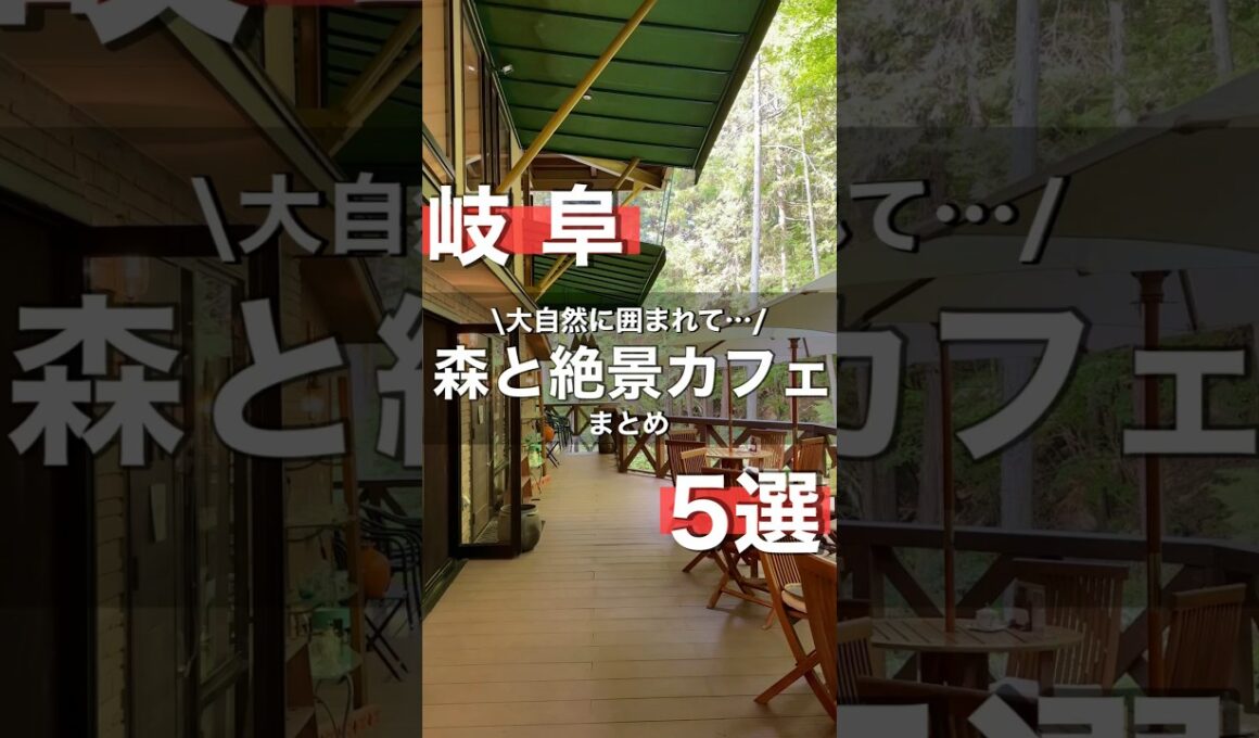 【森と絶景】岐阜の大自然が織りなす素敵なカフェを5店舗ご紹介！