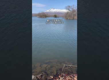 【保存版】北海道の大自然を感じられる人気スポット！⁡ #大沼国定公園▶︎北海道亀田郡七飯町⁡#函館 #北海道 #函館旅行 #函館観光 函館スポット #hokkaido #hakodate #国内旅行
