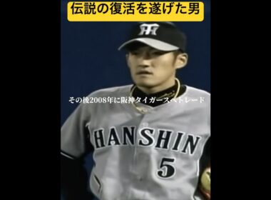 【フェンス激突】事故から復帰した伝説の男''平野恵一''#阪神タイガース #平野恵一