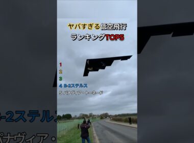ヤバすぎる低空飛行まとめ