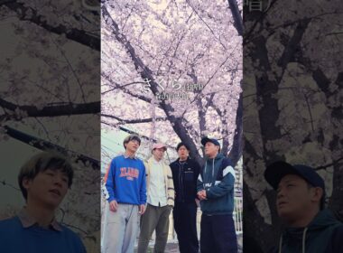 【アカペラ】「さくら(独唱)」森山直太朗 #歌ってみた #ykrm #福岡 #さくら #アカペラ #ハモネプ