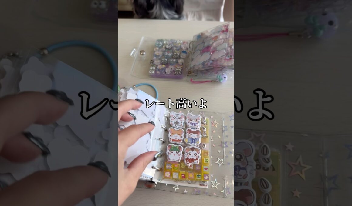 成人女性による、大人のシール交換 #シール帳 #平成女児 #23歳児