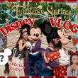 【待望】憧れのファンタジースプリングホテルでSea満喫❤️スペシャルゲストも㊙️【Disney】