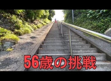 【孤独の56歳】    豆柴の飼い主、本気で洲崎神社を登る