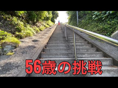【孤独の56歳】    豆柴の飼い主、本気で洲崎神社を登る