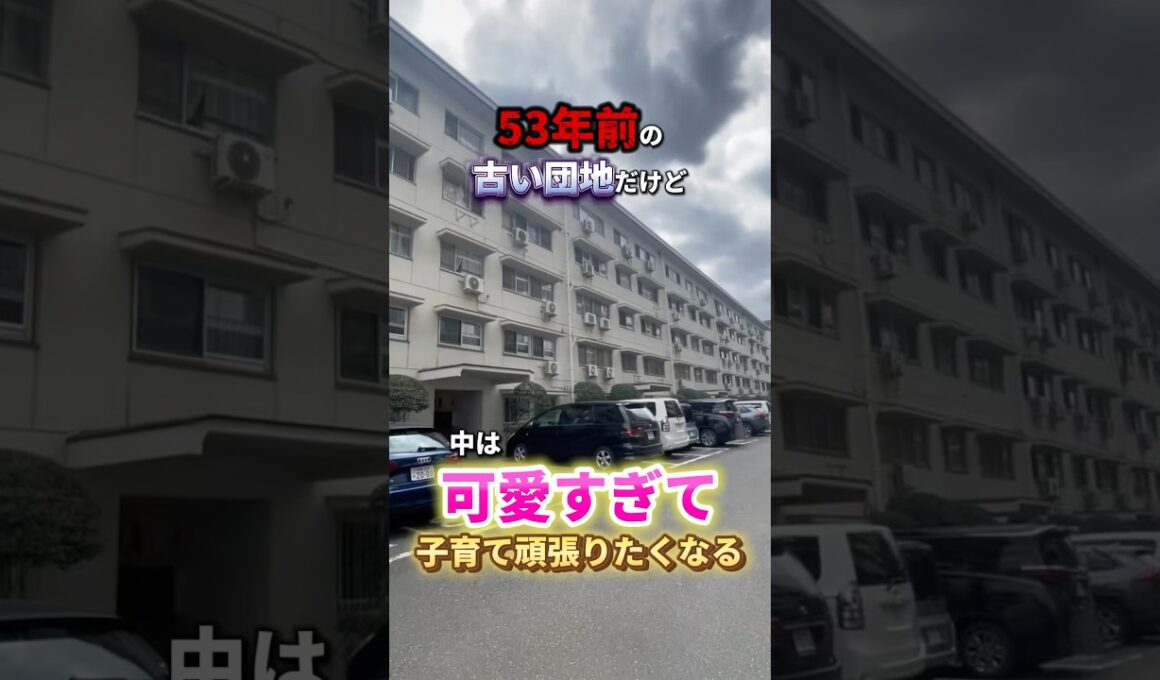 古そうな団地の中が、可愛い！？けどまさかの欠点が...  #お部屋探し #リノベ #不動産 #ルームツアー #物件探し