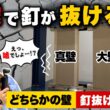【震度7の衝撃】宇垣美里さん驚愕！実験で釘が抜ける！？本当に地震に強い家の選び方