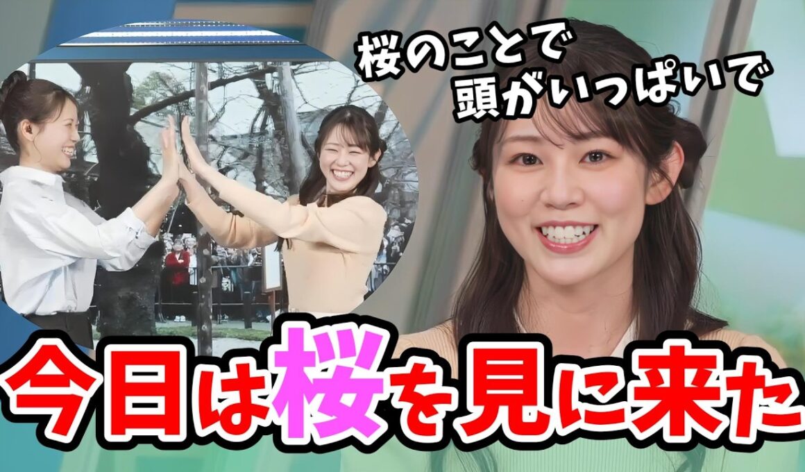 【青原桃香・戸北美月】東京桜開花宣言！桜のことで1日中うっきうきの桃ちゃんのコーヒータイム【ウェザーニュース切り抜き】