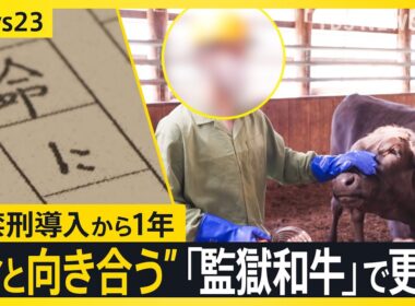 「網走監獄和牛」で更生を目指す北海道・網走刑務所の受刑者たち　拘禁刑導入から1年 牛の命と向き合う姿に密着【news23】｜TBS NEWS DIG